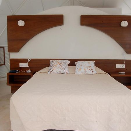 Cozy Room Near The Beach, Party Zone Tulum Eksteriør billede