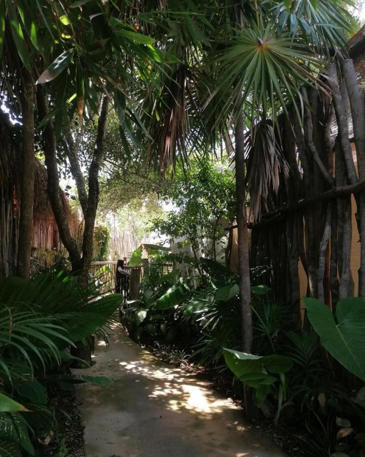 Cozy Room Near The Beach, Party Zone Tulum Eksteriør billede
